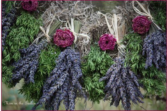 Lavender with herbs and roses and Spanish Moss