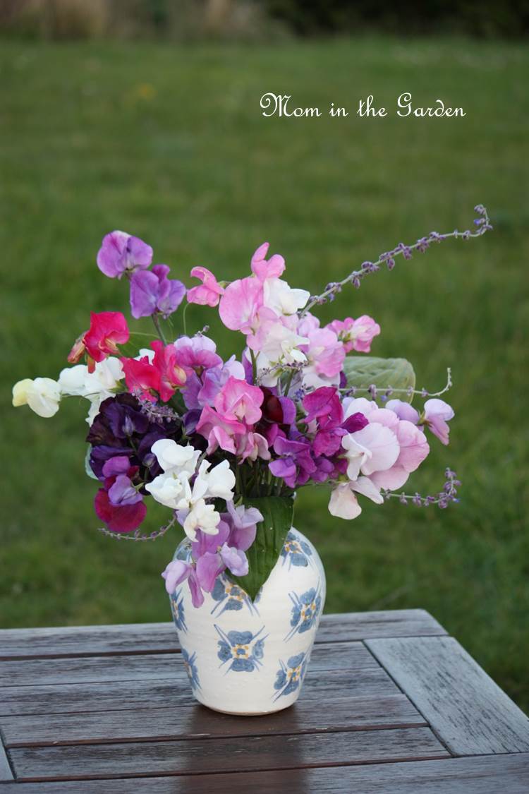 Without any sun it is quite drab