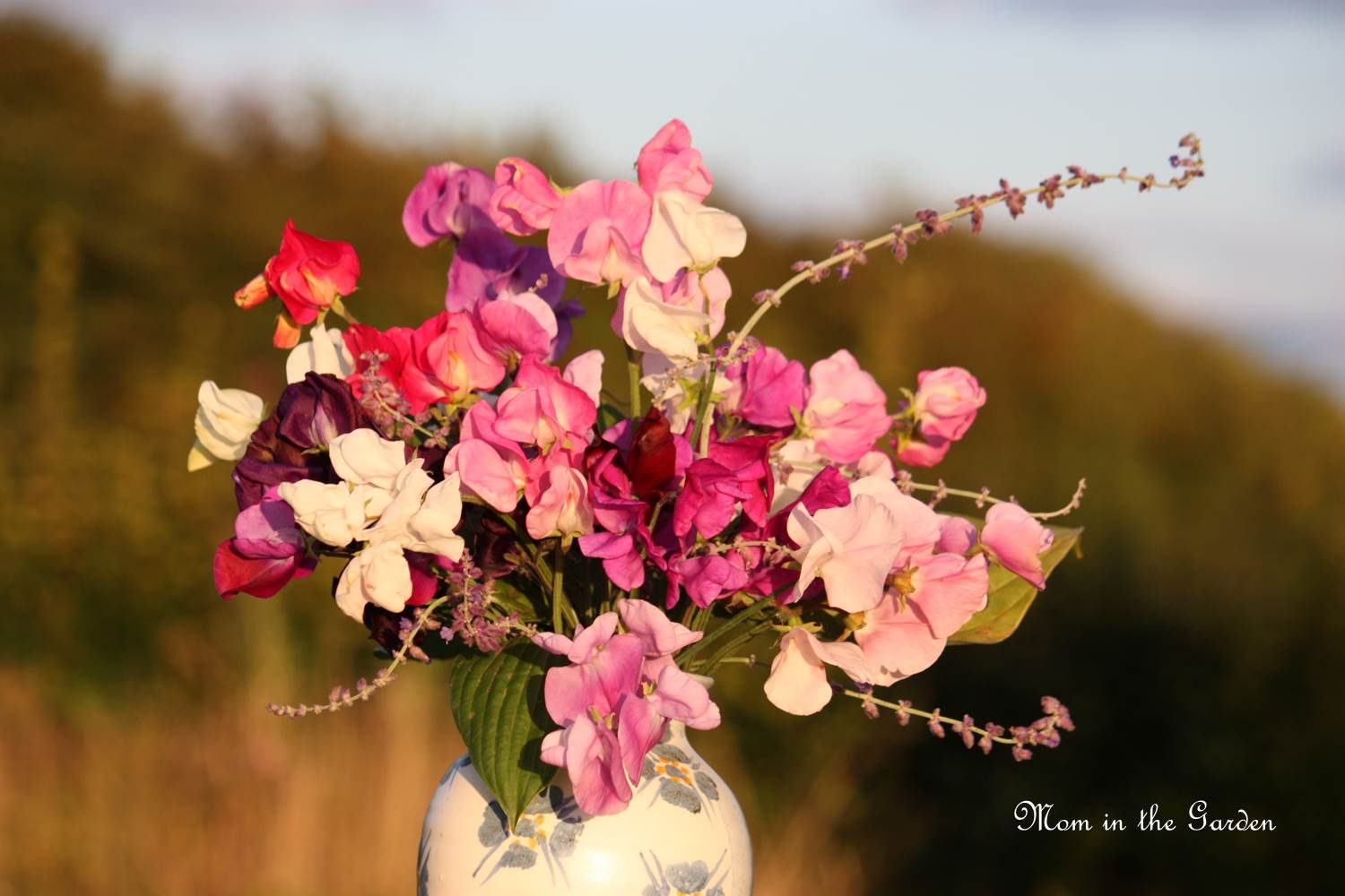 The Russian Sage gives it some reach.