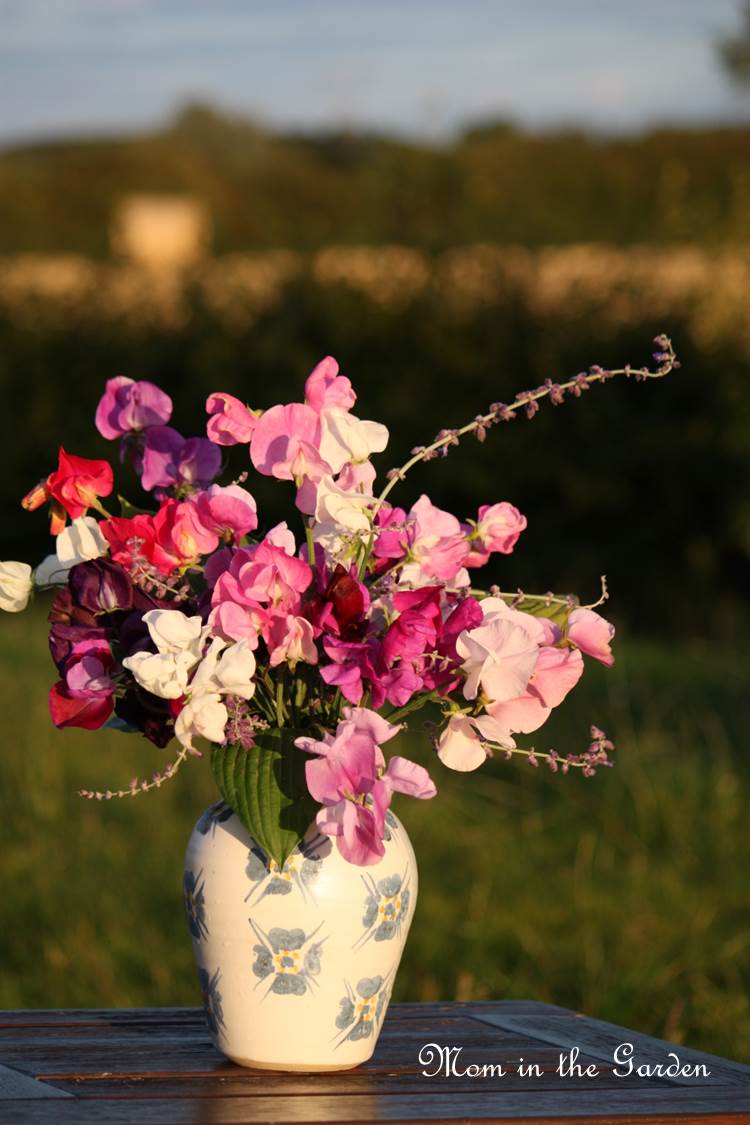 Add a touch of sun and Voila! magic.