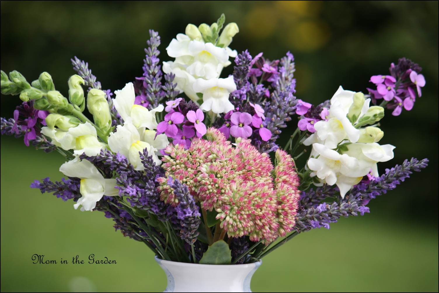 In a Vase on Monday: White & Purples & a wee bit of pink