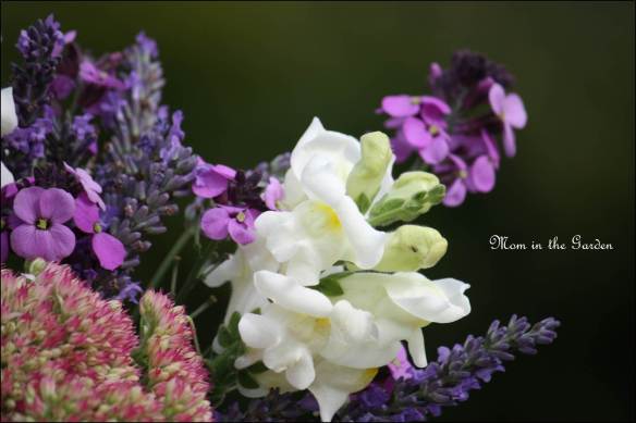 Purples, white, and a bit of pink