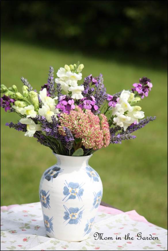 Snapdragon, Lavender, Erysimum bowles, Autumn Joy