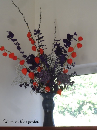 I love those windows, but they stink for taking pictures!