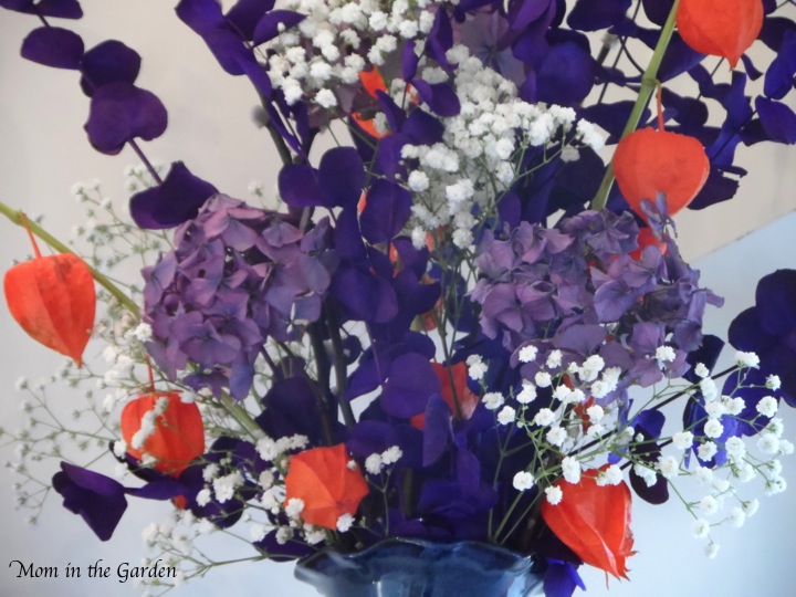 Hydrangea from my father-in-law's garden along with gypsophila paniculata (baby's breath)