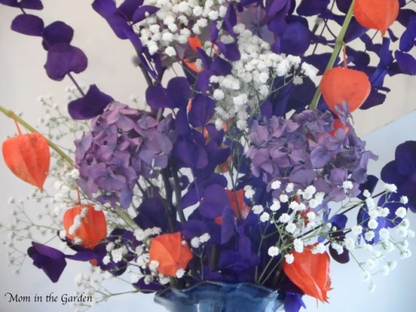 Hydrangea from my father-in-law's garden along with gypsophila paniculata (baby's breath)