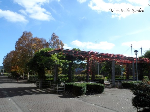 A couple of weeks later.