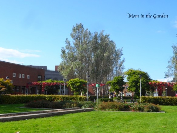 The other side of the arbor