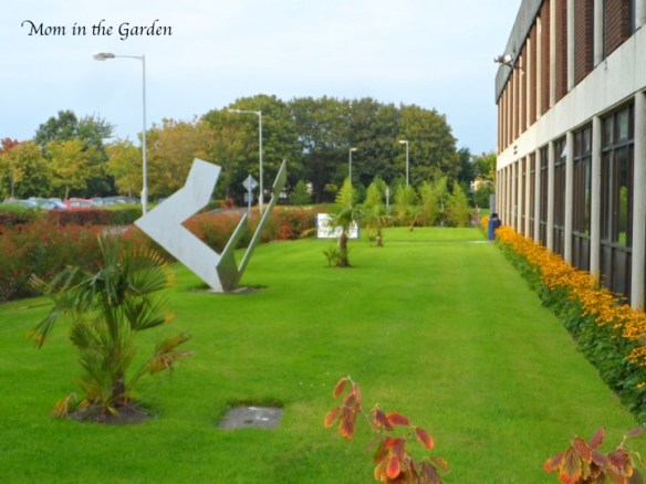 DCU around campus in the fall