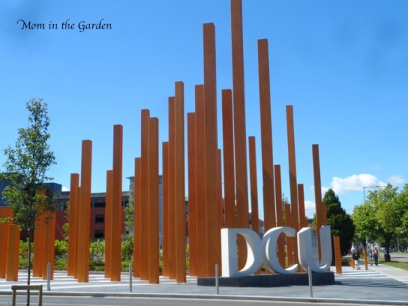 DCU entrance today