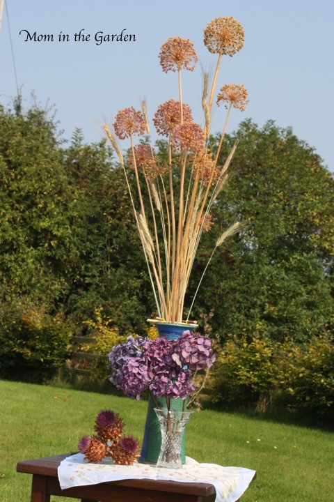 Allium, rye, hydrangea, globe artichokes