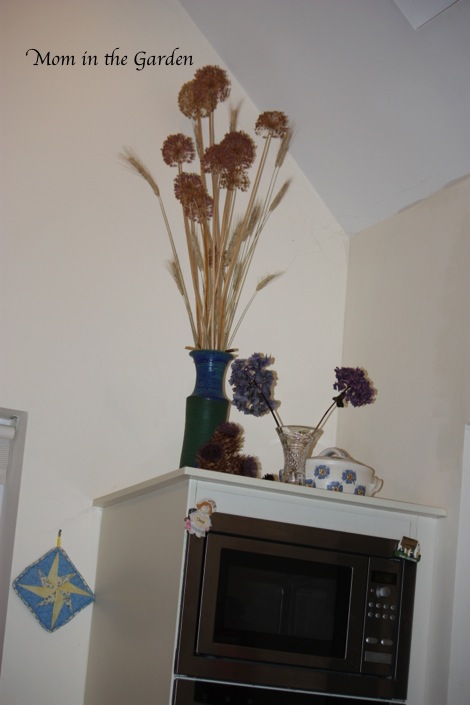 Sitting high in my kitchen