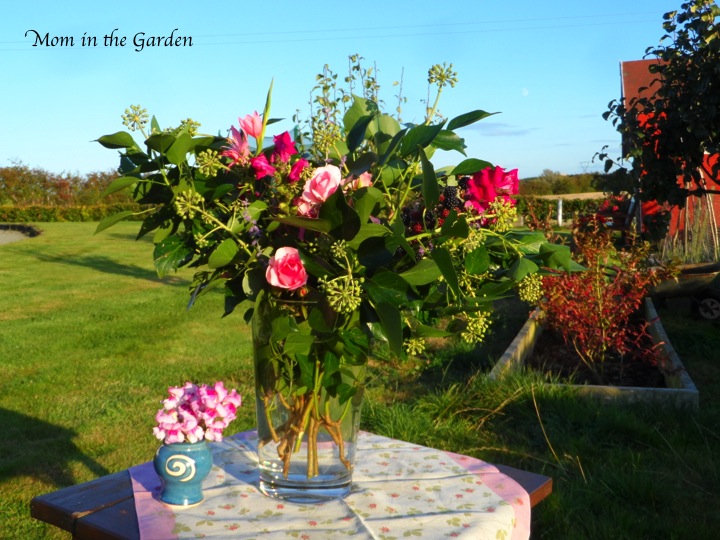 In a Vase on Monday; Roses & Ivy & other lovely stuff