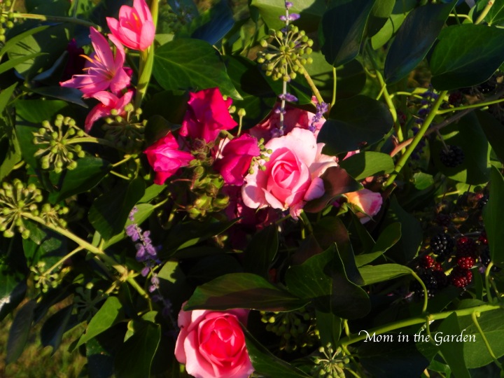 Ivy, roses, snapdragon, schizostylis (or rather: Hesperantha), Perovskia atriplicifolia (Russian Sage)