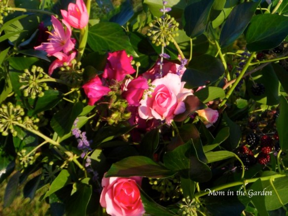 Ivy, roses, snapdragon, schizostylis (or rather: Hesperantha), Perovskia atriplicifolia (Russian Sage)