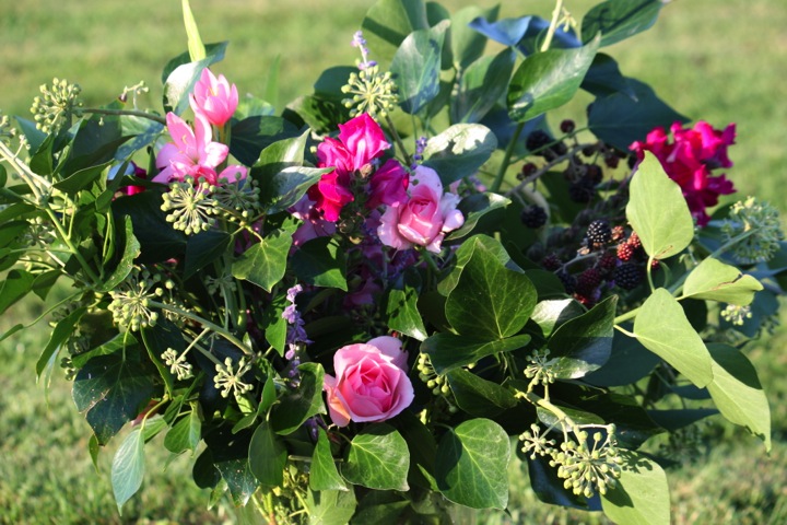 an awkward view of the roses