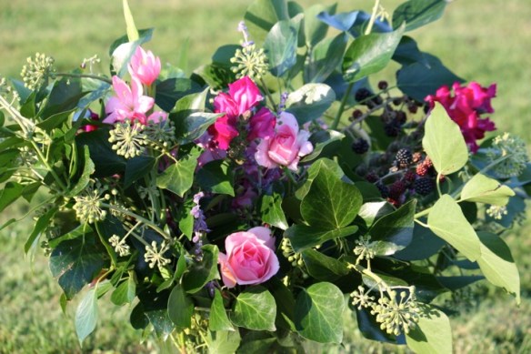 an awkward view of the roses