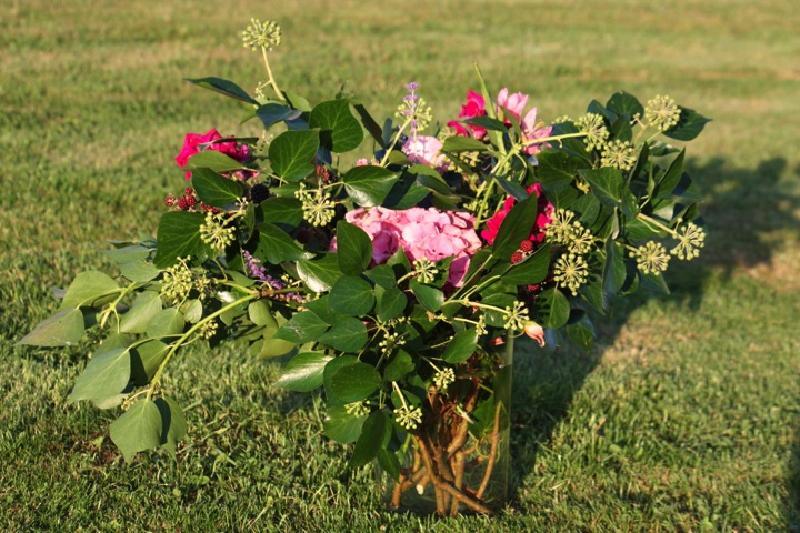 Hydrangea just barely visible