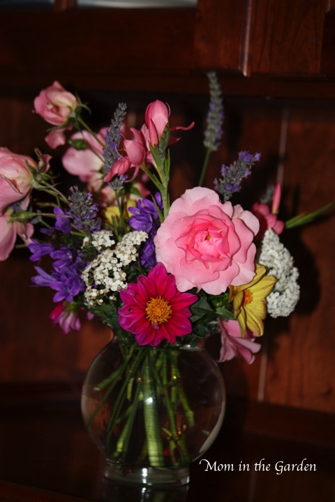 Some pink Schizostylis/Hesperantha that is the same colour as the roses