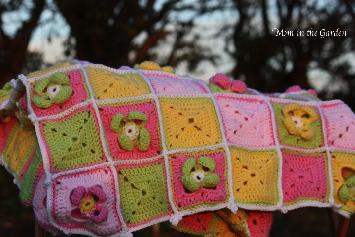 an evening shot giving a different hue to the colours