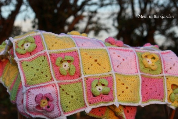 an evening shot giving a different hue to the colours