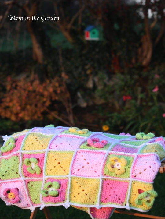 Pinks, yellow & green all lined in white