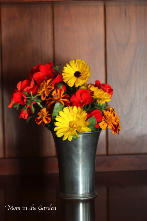 A collection of potted plants
