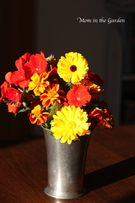 Pewter Vase &  awesome afternoon sunlight