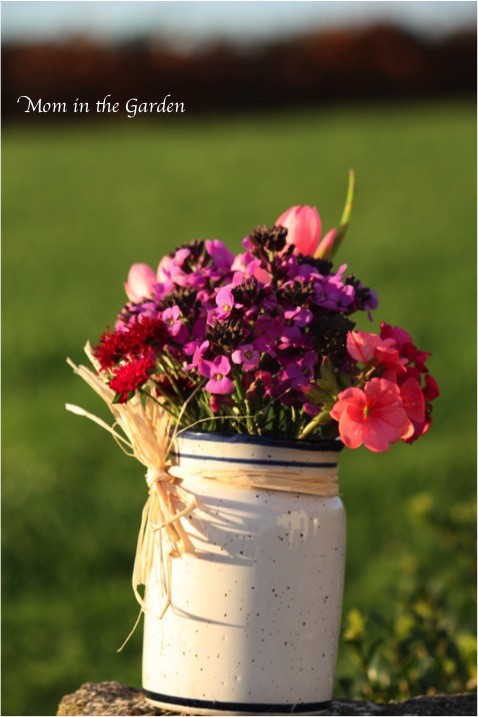 November in the garden...