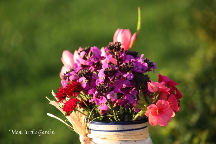 In a Vase on Monday...