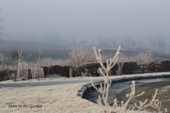 View from the back of the side yard.
