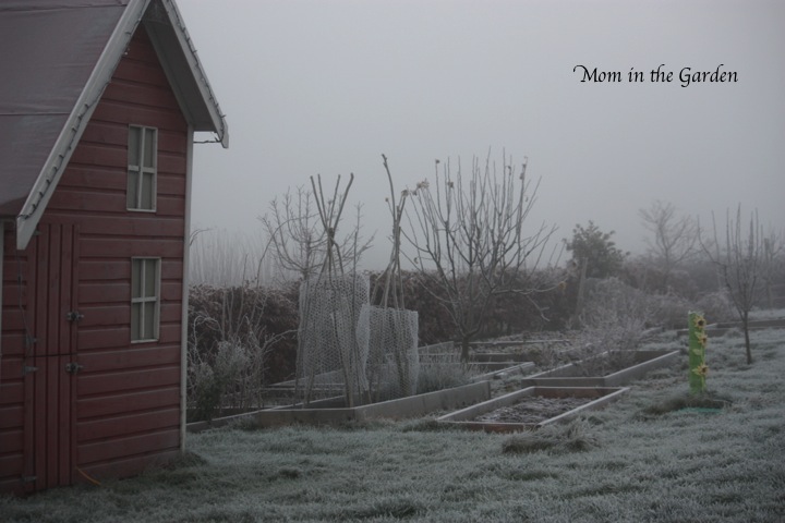 Playhouse and fruit garden view