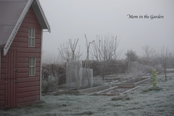Playhouse and fruit garden view
