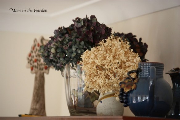 Dried flowers from the garden