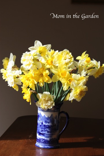 on the kitchen table