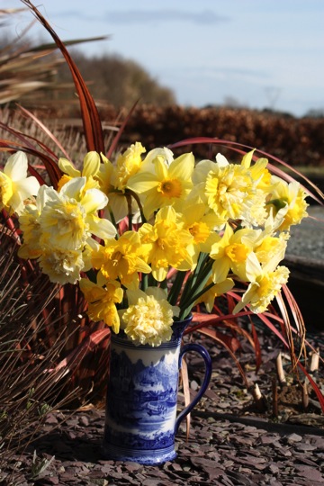 A hue more on the yellow side