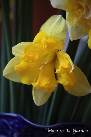 A rather triangle of a shape, don't you think?