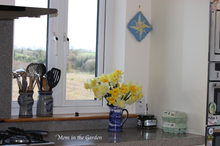 on the kitchen counter