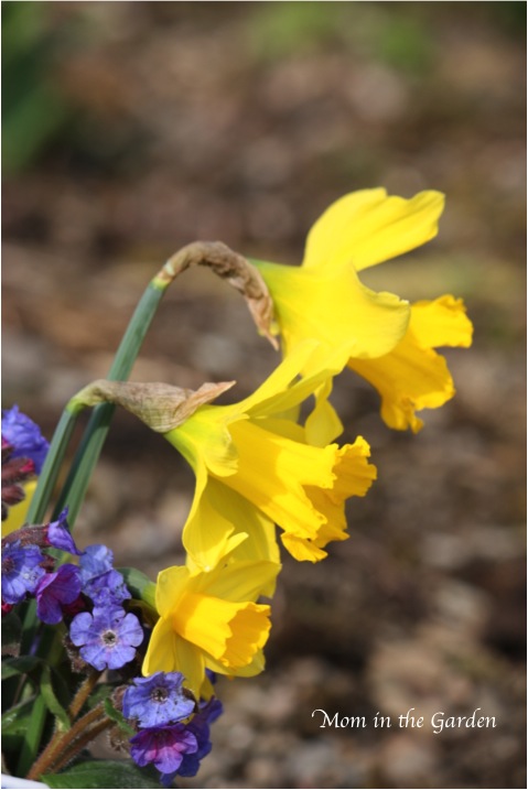 full size & tiny size