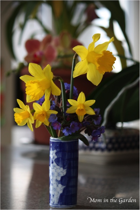 enjoying them inside