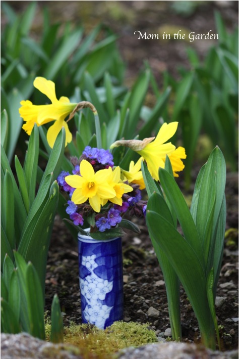 the vase in among my allium greens