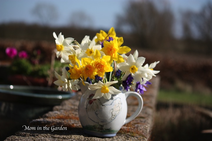 Too pretty not to photograph