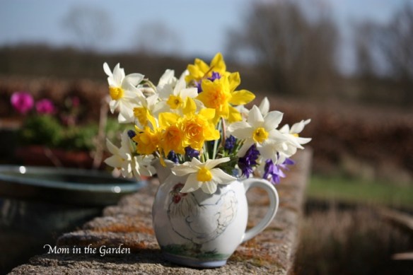 Too pretty not to photograph