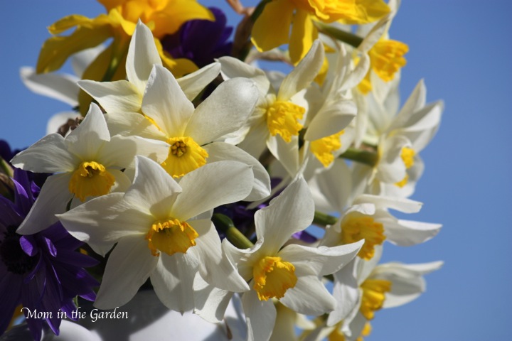 beautiful blue skies