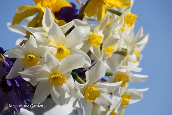 beautiful blue skies
