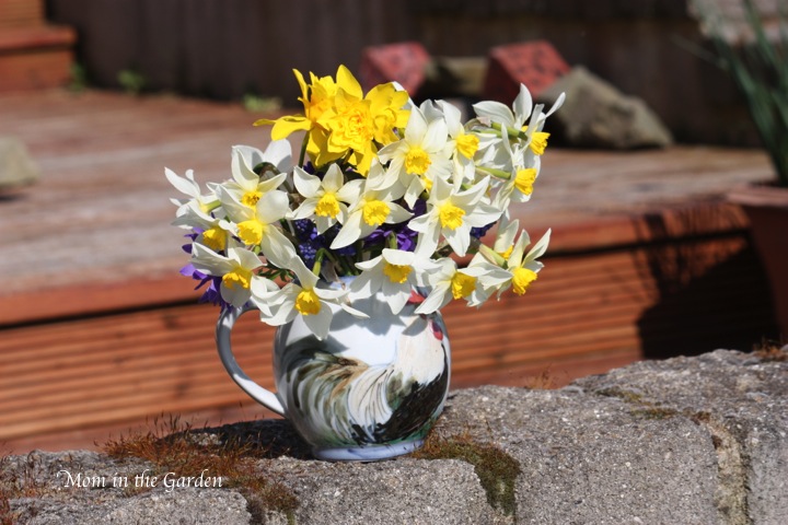 Perfectly glorious weather