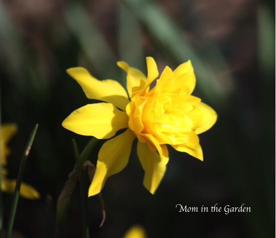 all yellow, with so many layers