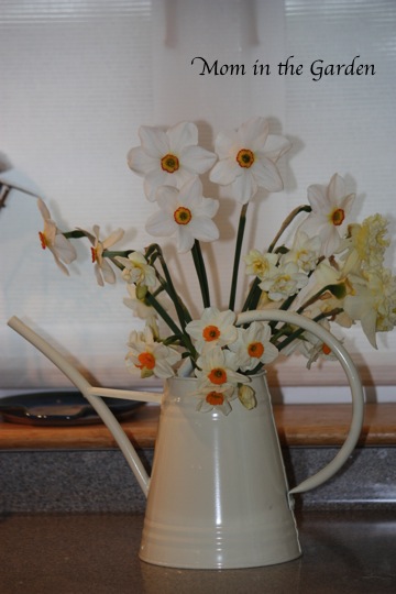 Watering Can Vase