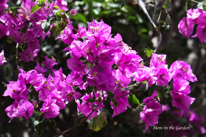 inside a glass house