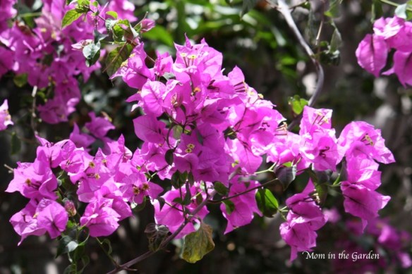 inside a glass house